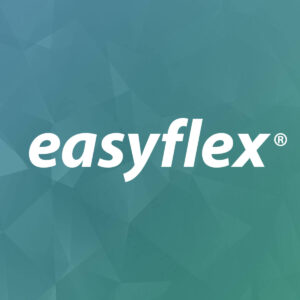logo easyflex